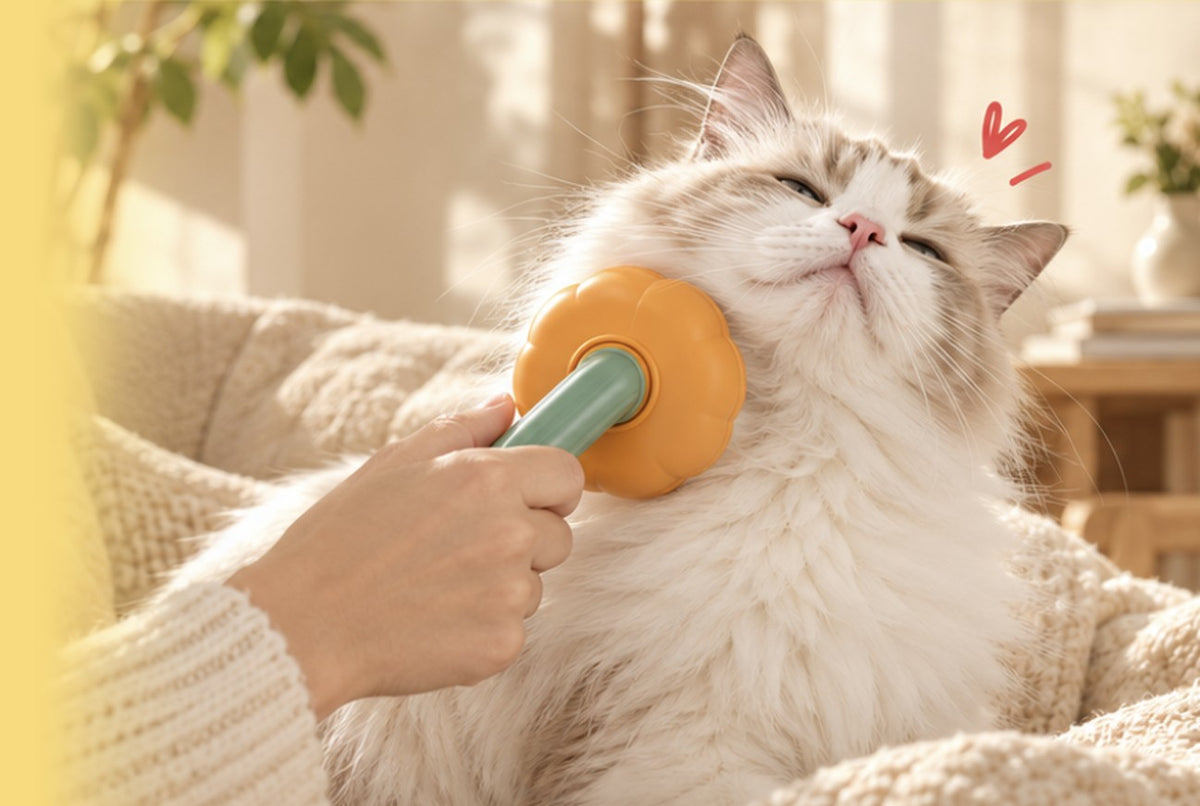 Cat being brushed with the Pumpkin Brush on a cosy sofa