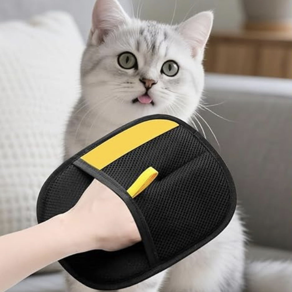 The Fur Mitt in use, with a cat on the sofa