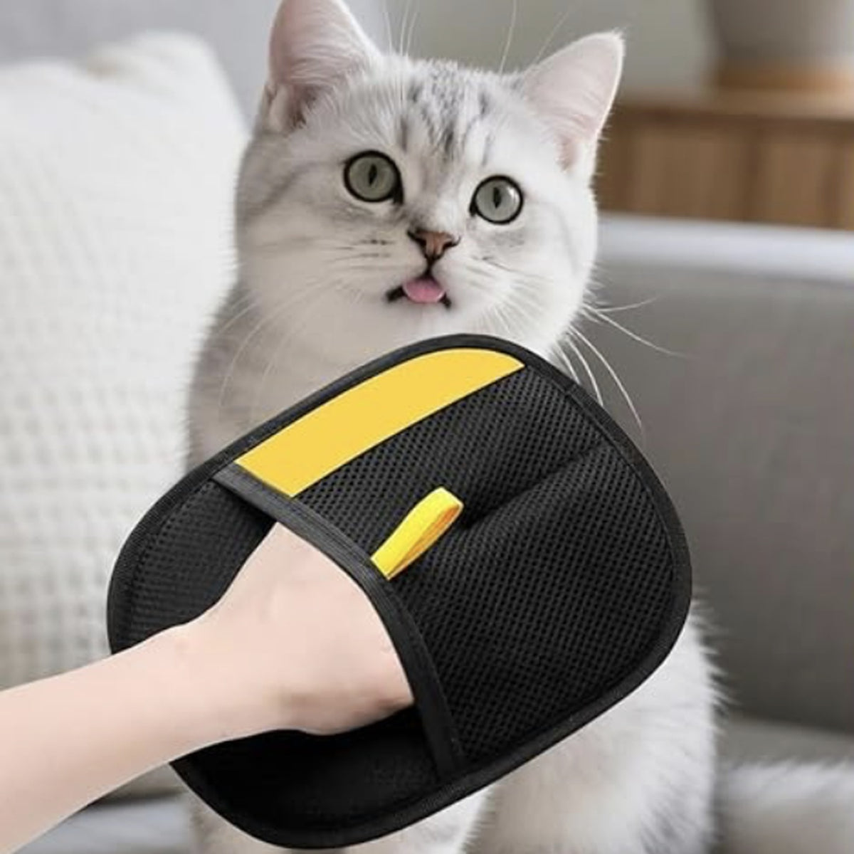 The Fur Mitt in use, with a cat on the sofa