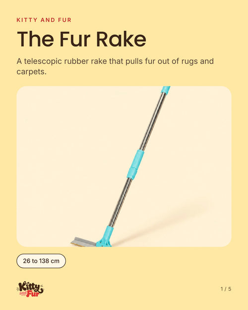 The Fur Rake: a telescopic rubber rake for rugs and carpets